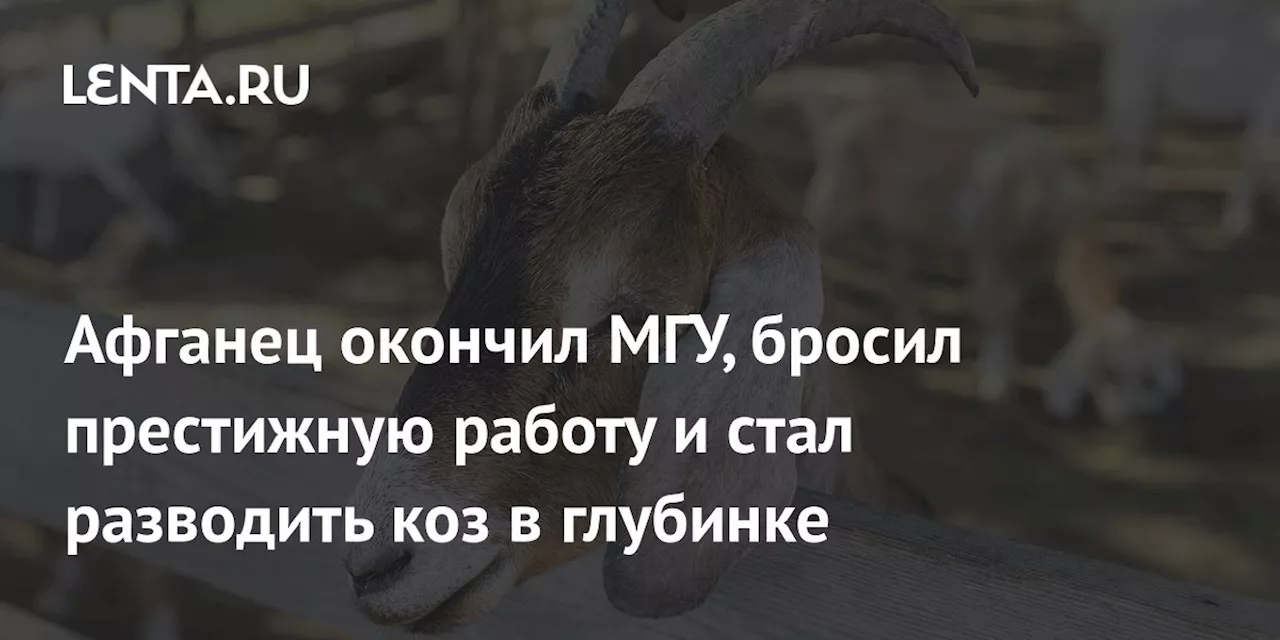 Афганец окончил МГУ, бросил престижную работу и стал разводить коз в глубинке