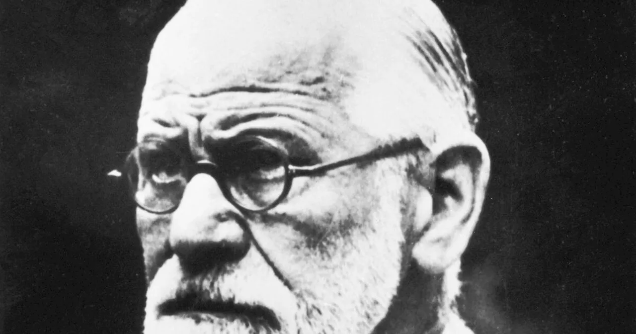 «La Mâchoire de Freud», une prothèse mal soutenue