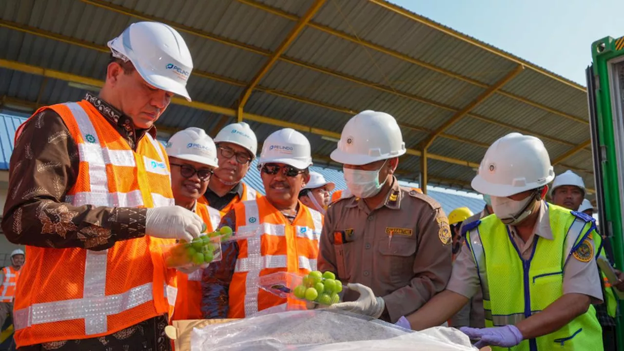 Badan Karantina Indonesia Lengkapi Pengawasan Komoditas Anggur Shine Muscat dengan Prior Notice