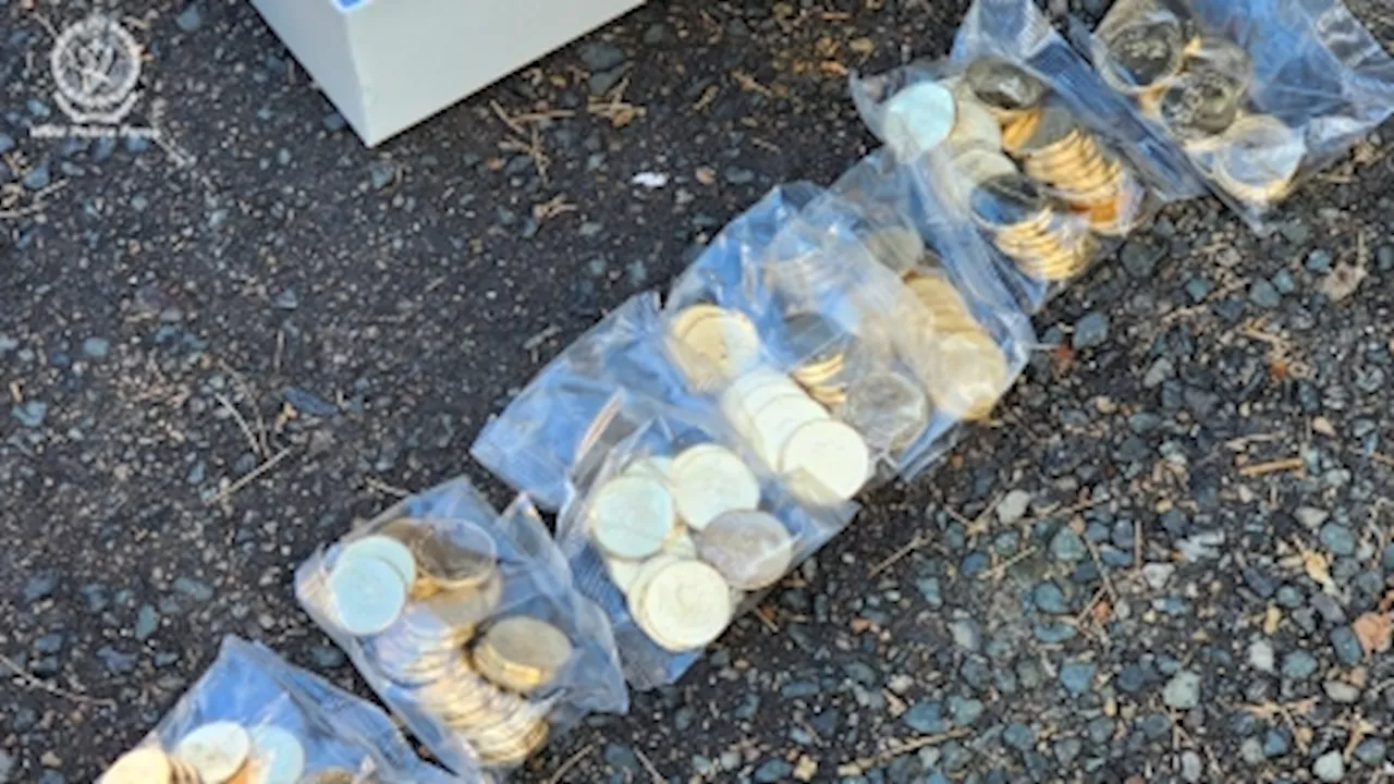 Aussie cops recover 40,000 stolen Bluey coins in major heist bust, getaway driver arrested