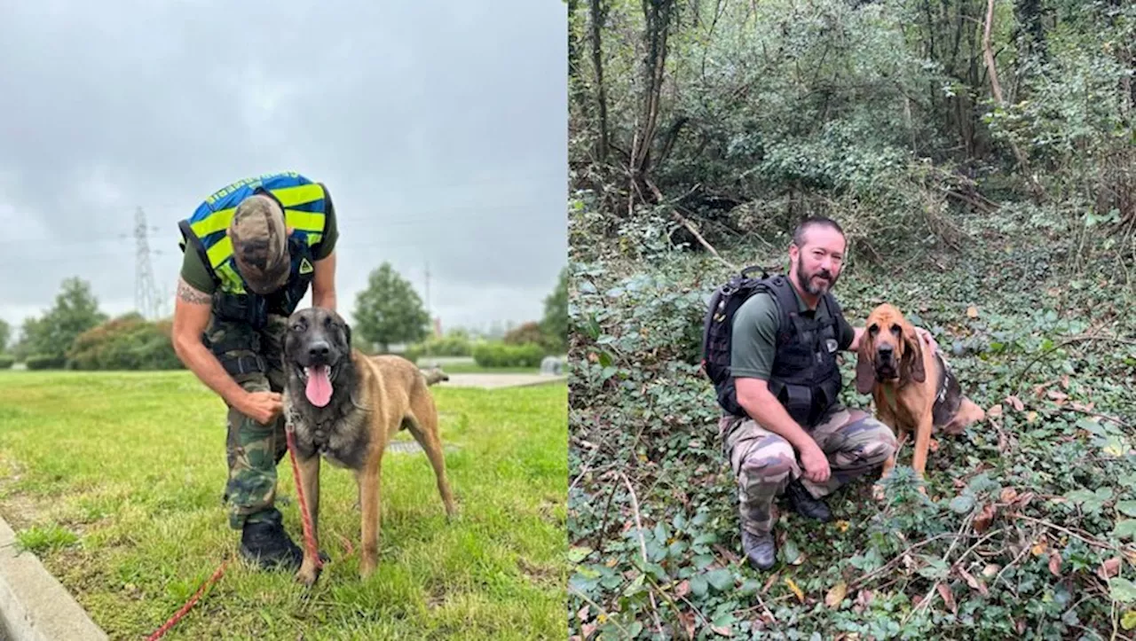 Des recherches 'compliquées' : comment deux chiens de la gendarmerie ont permis de retrouver deux personnes di