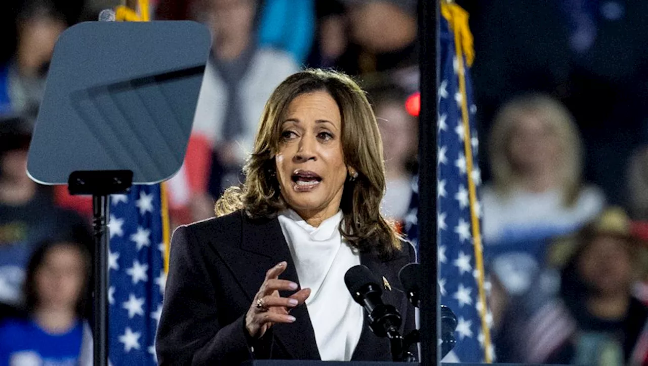 Présidentielle américaine : à Washington, Kamala Harris livre un véritable réquisitoire contre Donald Trump