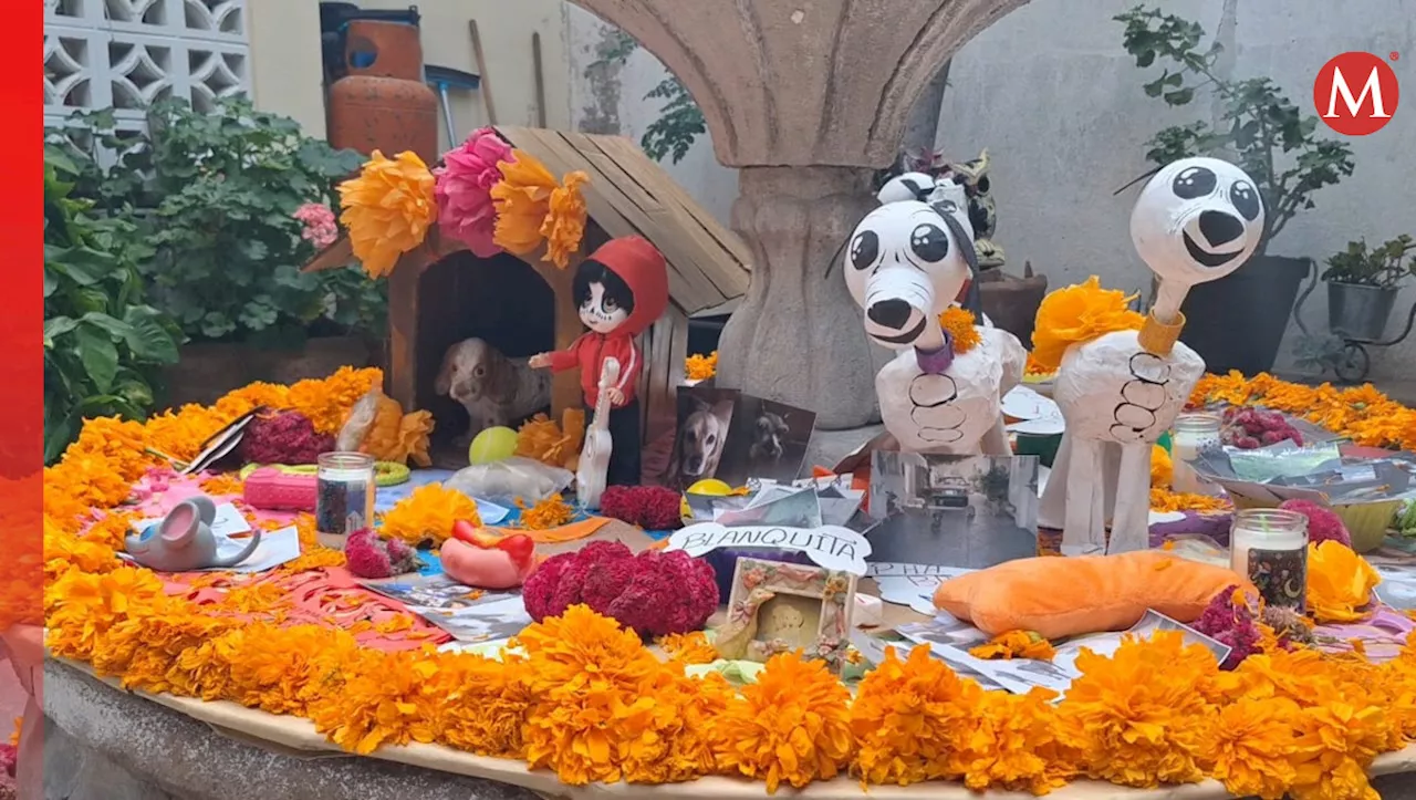 Exhiben más de 200 fotos de 'lomitos' en ofrenda por Día de Muertos en Tehuacán, Puebla