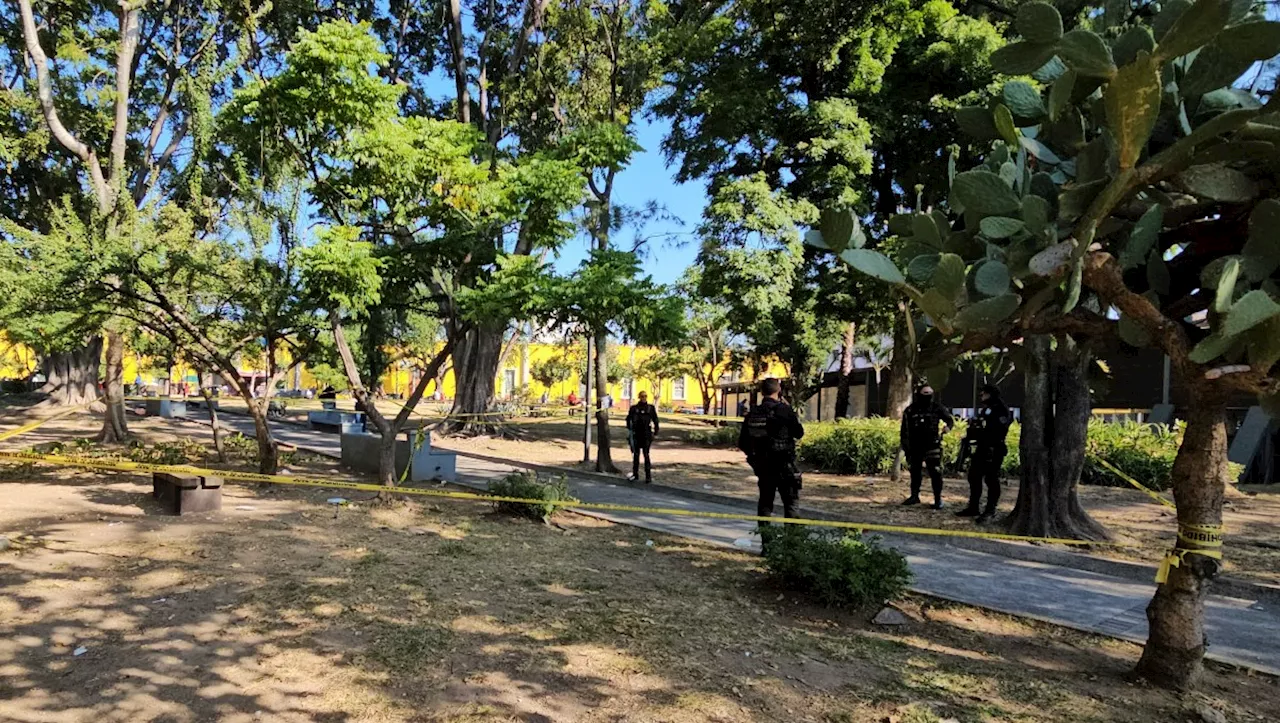 Localizan a hombre fallecido por hipotermia en parque de Guadalajara