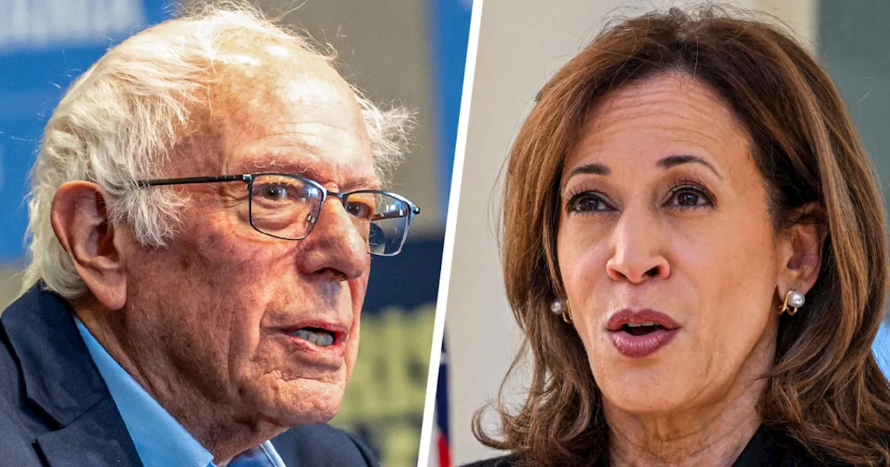 Bernie Sanders: I'm voting for Harris despite her stance on Gaza — and you should too