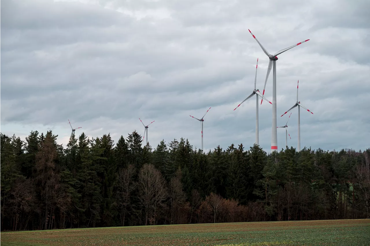 Staatsforsten lockern in Ausnahmen Vergabe für Windflächen