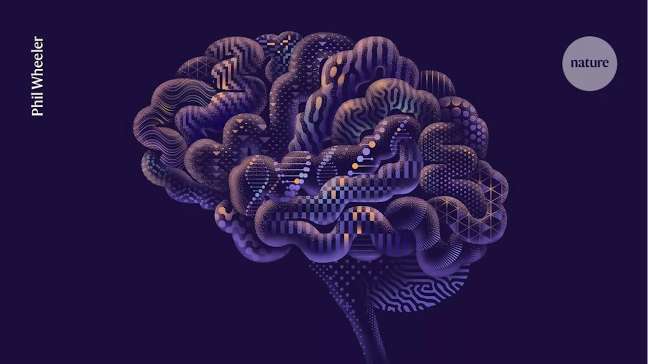 What's so special about the human brain?