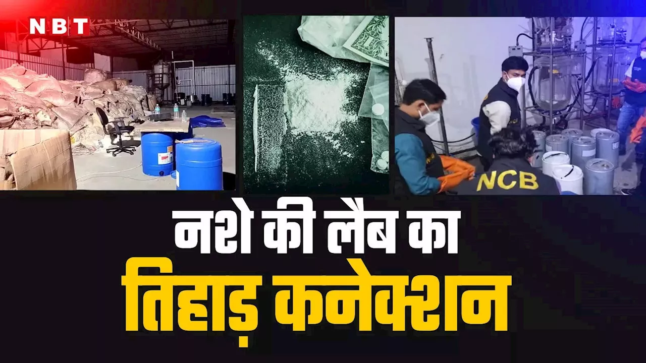 What is Meth Drug: क्या है मैथ ड्रग्स, जिसकी लैब का निकला तिहाड़ कनेक्शन, इंसान को बना देता है 'एनिमल'