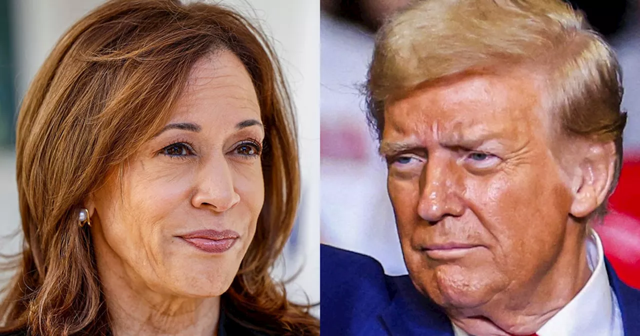 Election 2024 live updates: Trump and Harris campaign in North Carolina and Wisconsin