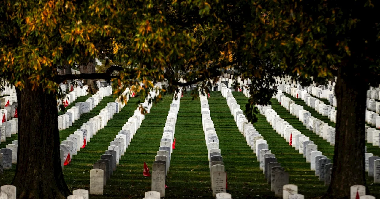 Grave cleaning videos spark fascination and outrage online