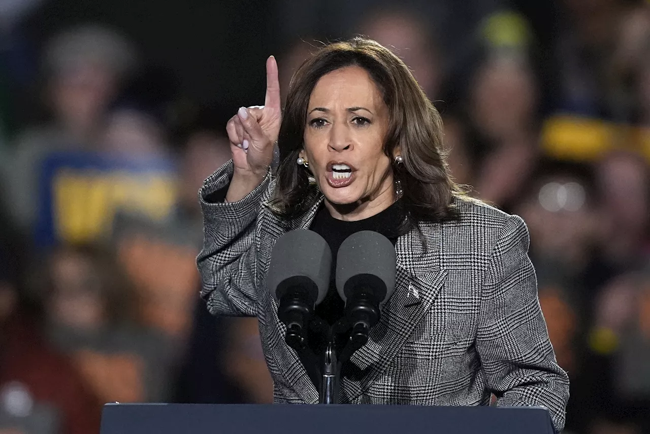 Kamala Harris Wins Big If Polls Repeat 2022 Error: Election Analyst