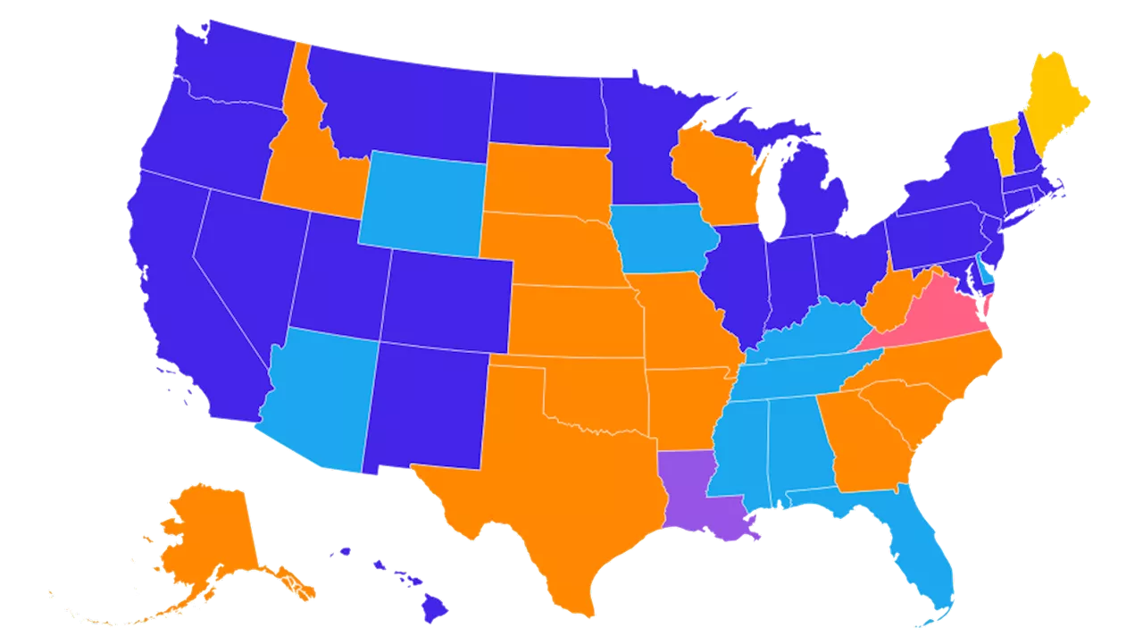 Map Shows States Where Felons Can Vote