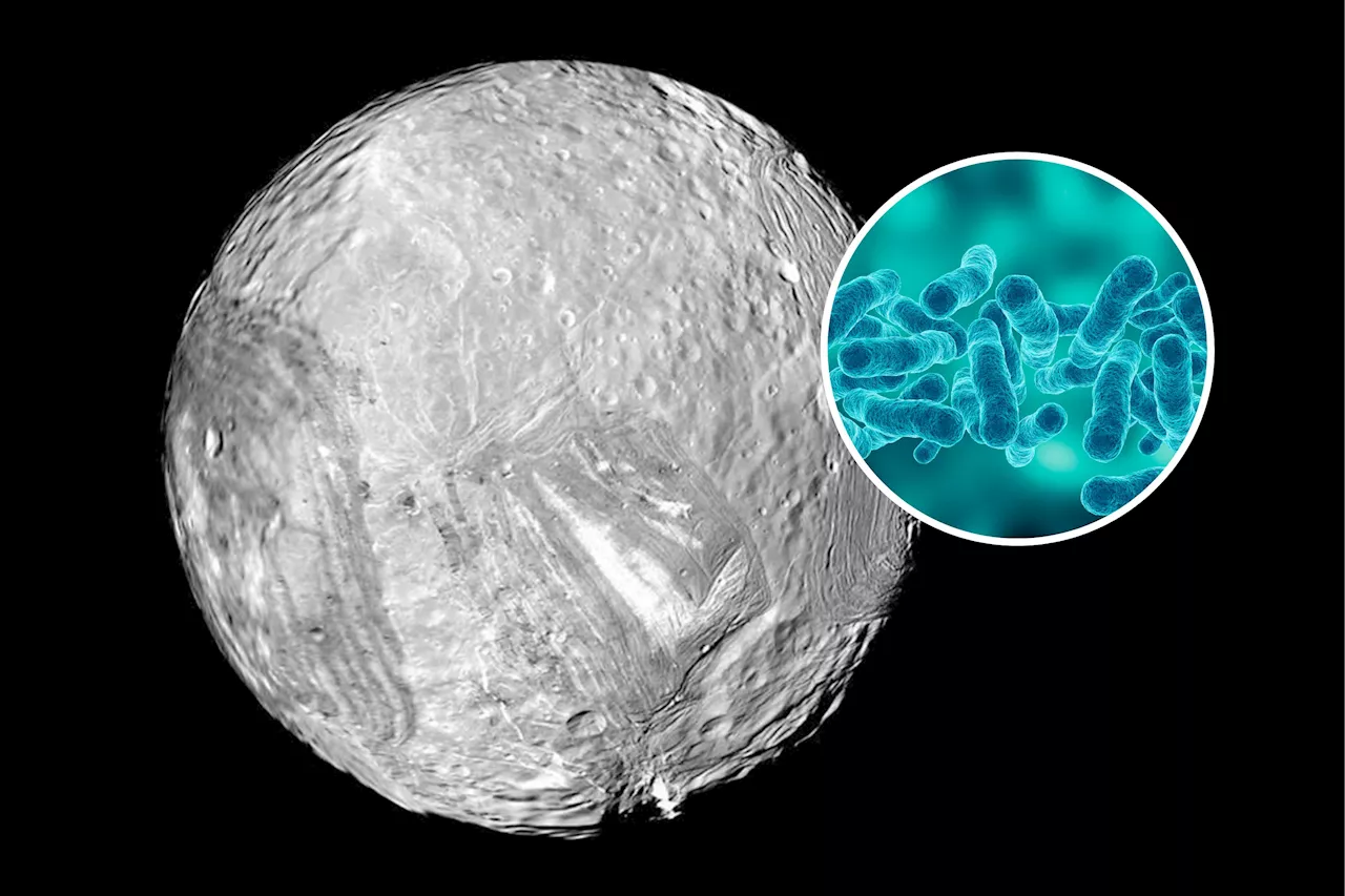 Uranus Moon Could Harbor Alien Life in Subterranean Sea