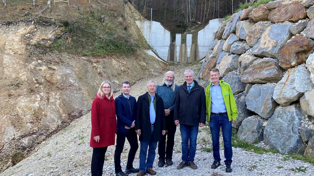 Nachhaltiger Schutz am Gallenzer Kogel in Hollenstein