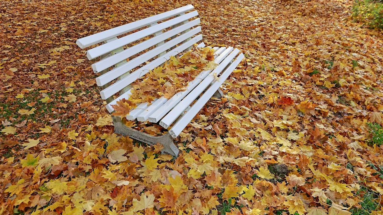 Sachsen-Anhalt: DWD: Warmes Oktoberwetter in Sachsen-Anhalt