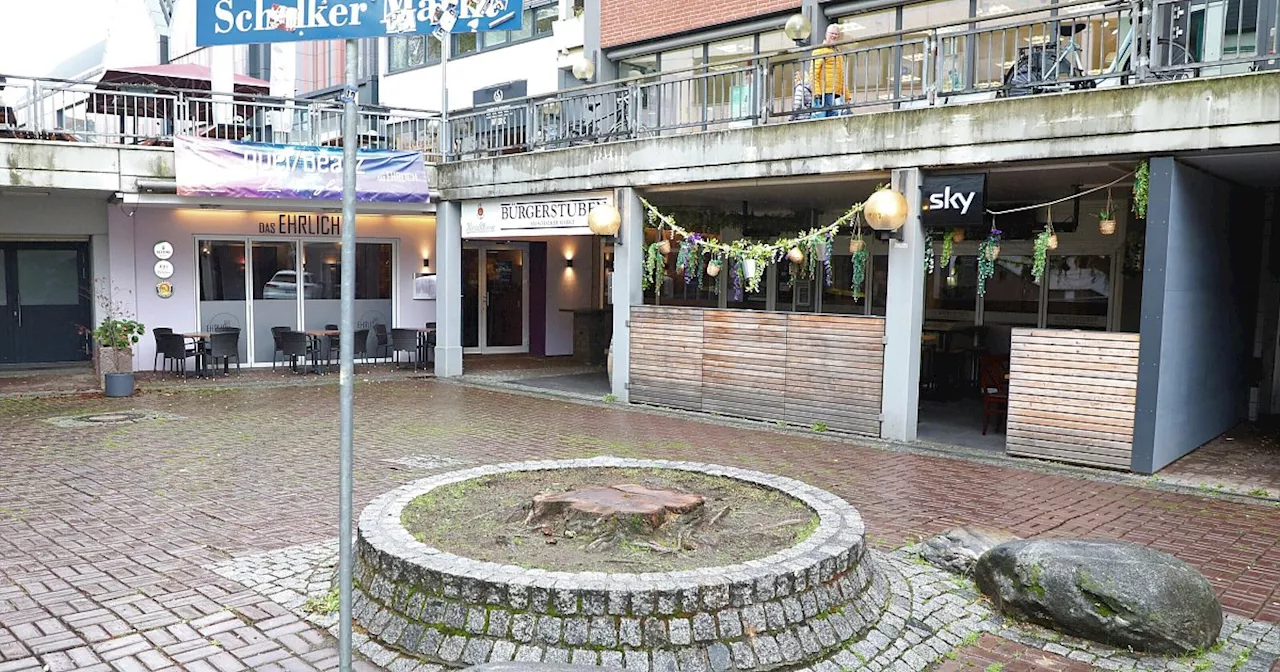 Alter Baum auf dem Schalker Markt in Höxter gefällt