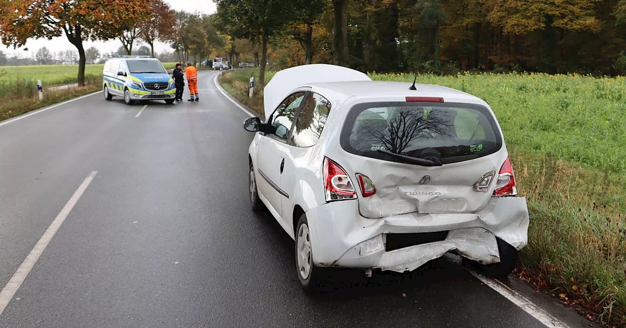 Lkw löst durch Überholmanöver Unfall bei Delbrück aus