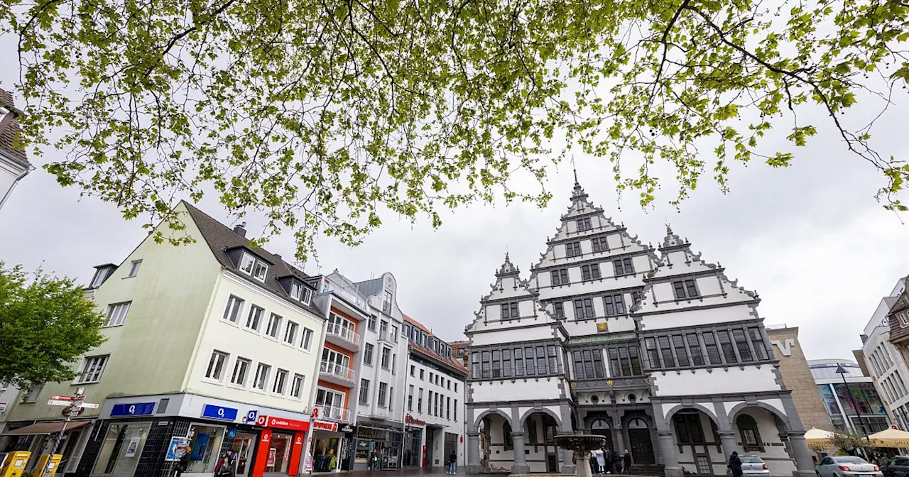 Streit um Baumschutzsatzung in Paderborn: Regelung soll gekippt werden