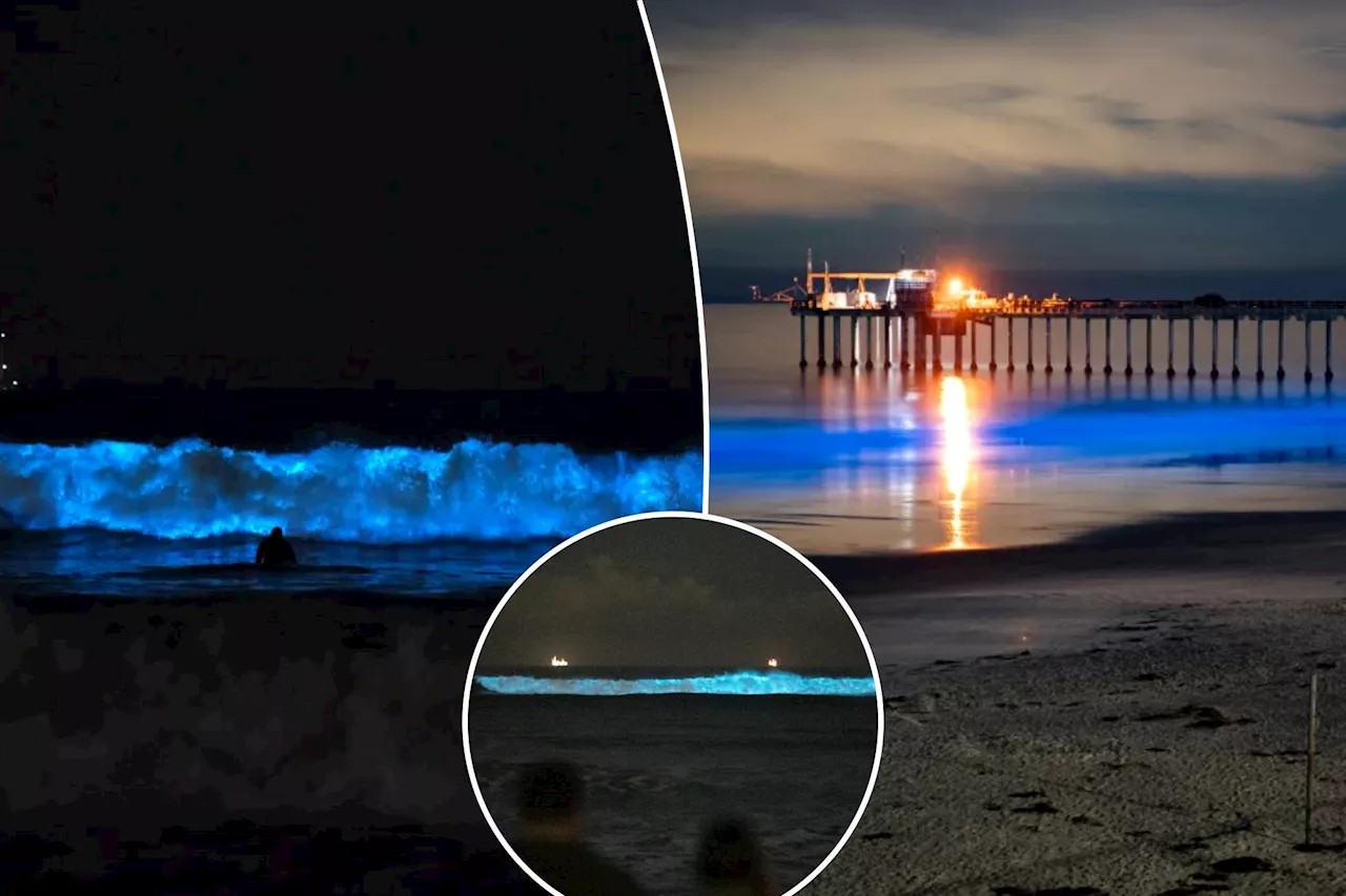 Gorgeous 'glowing water' is an 'awe-inspiring natural wonder' — here's where you can see it