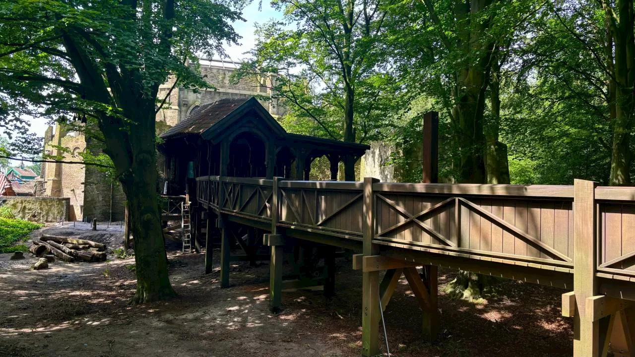 Efteling weet wie er hebben ingebroken in Danse Macabre