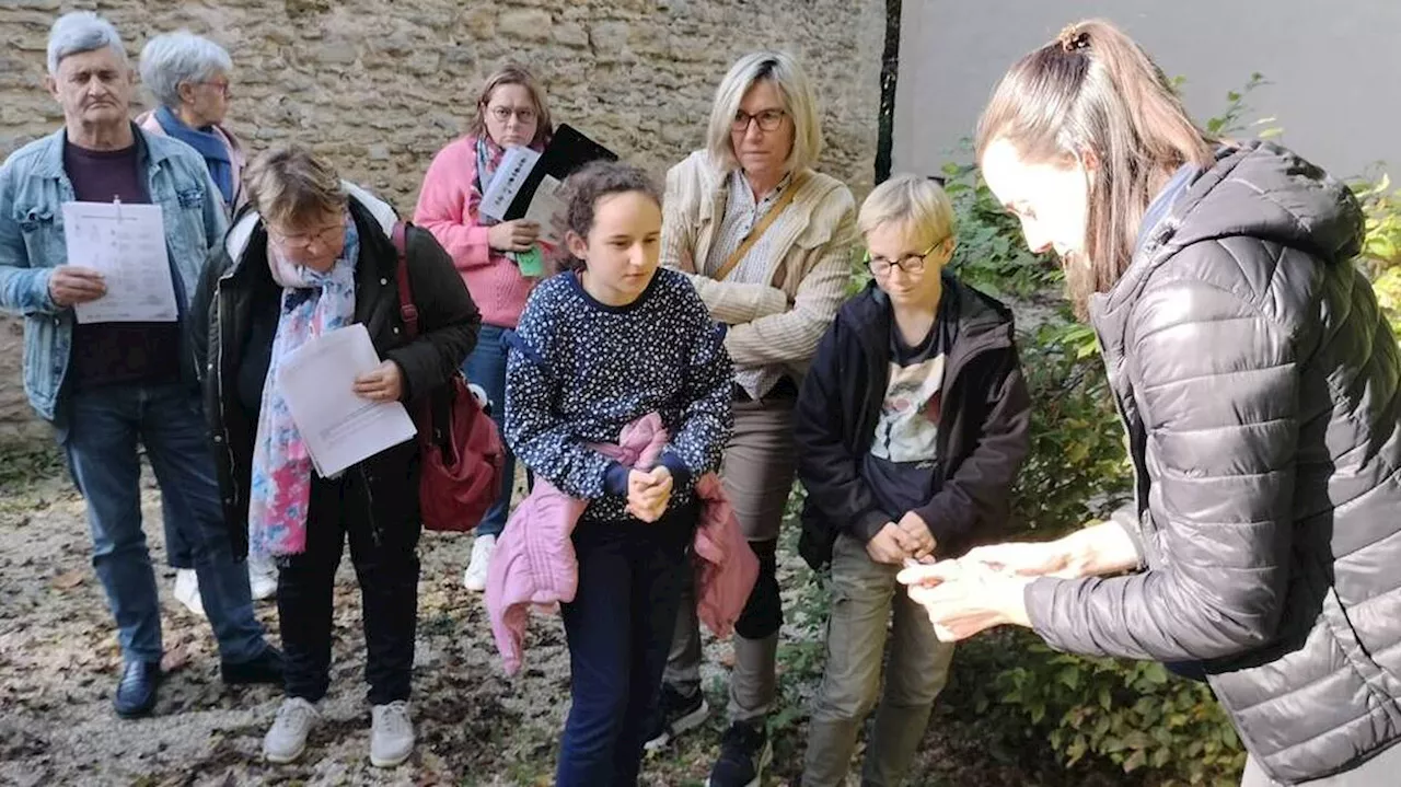 Des ateliers nature pour une opération escargots au château de Crèvecœur-en-Auge