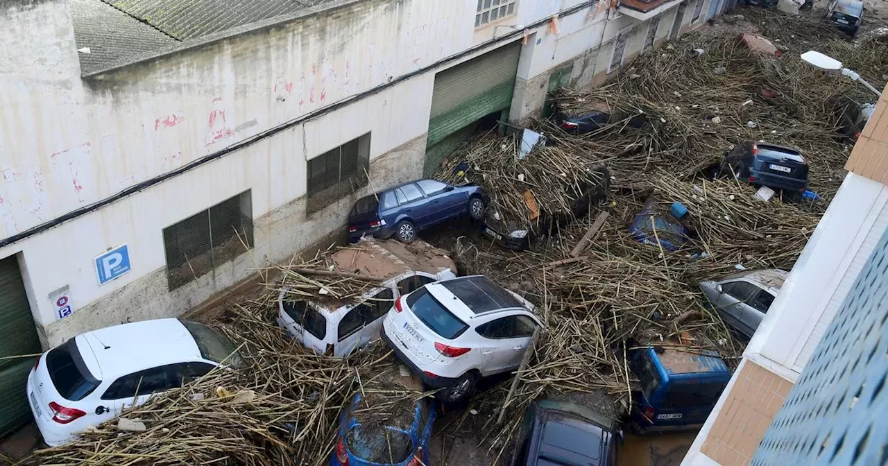 Spain weather: Multiple deaths as floods in Spain destroy towns amid severe storms