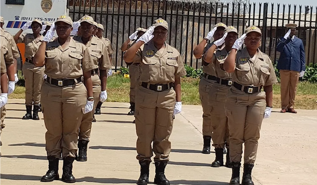 13 000 traffic wardens to be deployed in Gauteng for festive season - SABC News