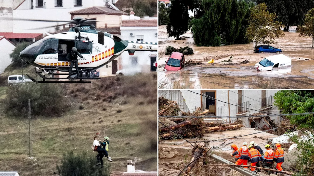 Spain floods latest: People 'trapped like rats' as deadly floods leave Valencia towns under water