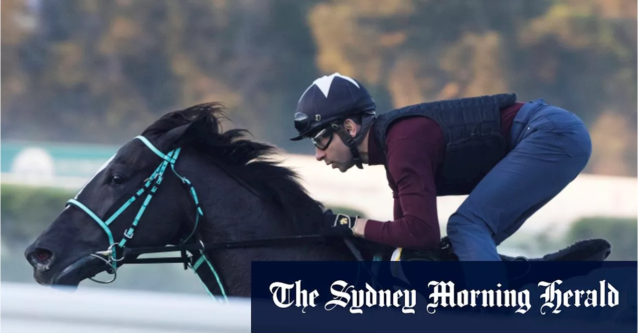 Eyes of the racing world on Japanese filly in $10 million Golden Eagle