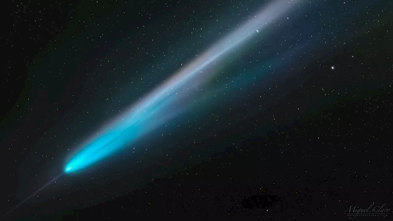 Astrophotographer captures comet Tsuchinshan-ATLAS growing an anti-tail (photos)