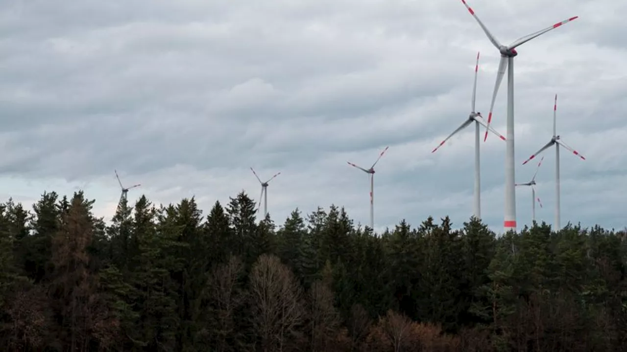 Erneuerbare Energien: Staatsforsten lockern in Ausnahmen Vergabe für Windflächen