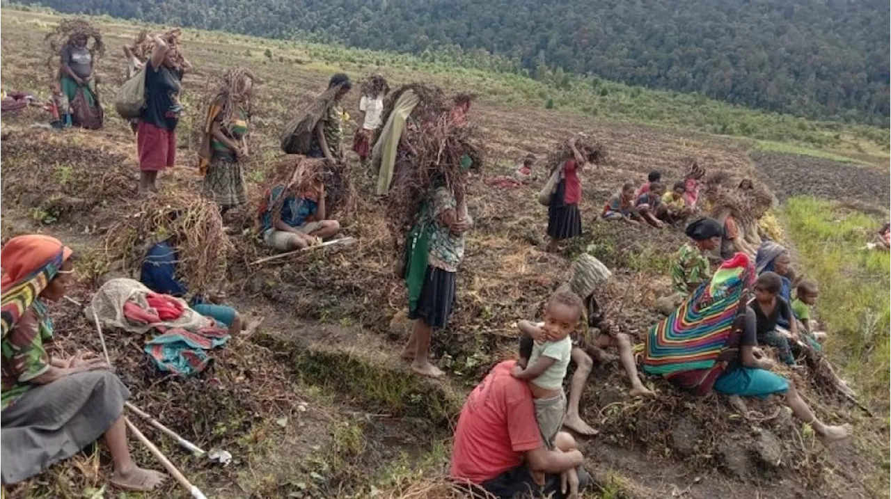 Bisa Merusak Hutan dan Alam, Pemuda Katolik Papua Tolak PSN: Ini Tanah Bertuan!