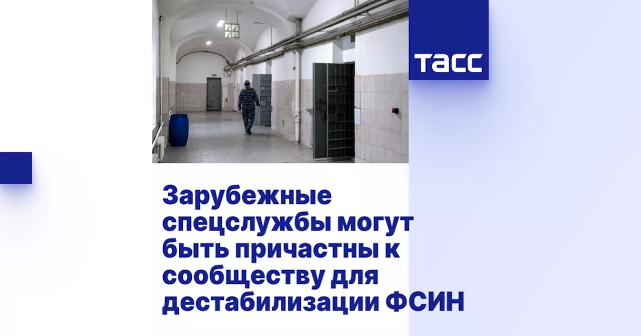 Зарубежные спецслужбы могут быть причастны к сообществу для дестабилизации ФСИН