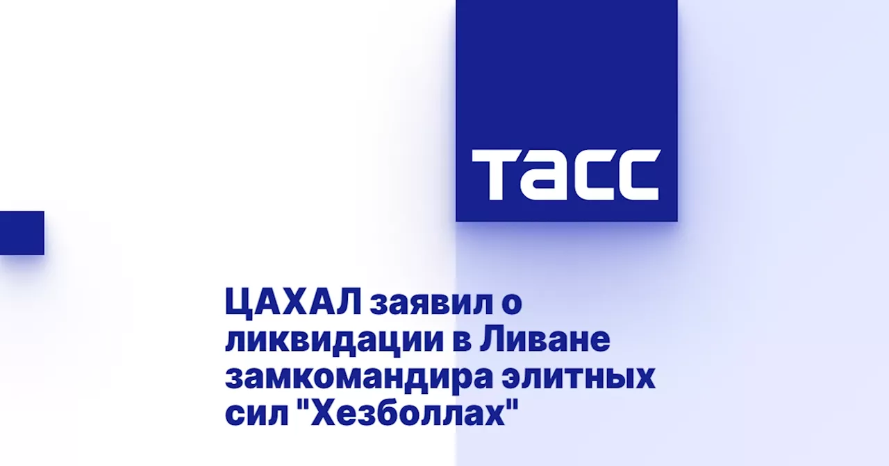 ЦАХАЛ заявил о ликвидации в Ливане замкомандира элитных сил 'Хезболлах'