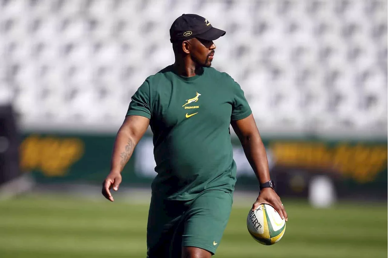 Boks are ready for UK tour, says assistant coach Mzwandile Stick