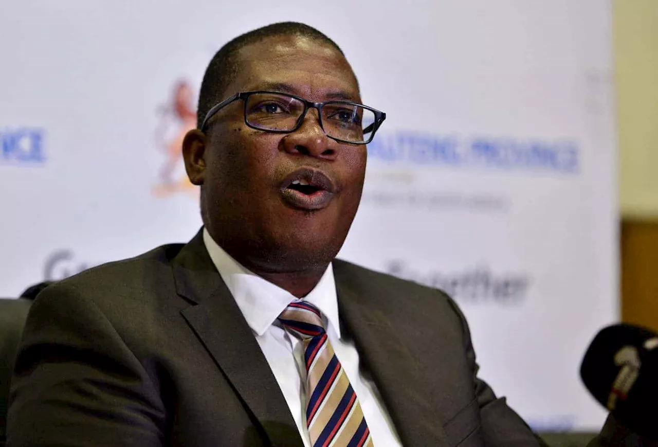 Lesufi concerned about crime as Joburg prepares to host G20 summit in 2025