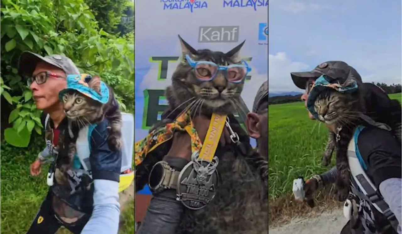 [Video] “Comel Mata Memandang, Berat Bahu Memikul” – Lelaki Ini Pikul Kucing Sepanjang Acara Larian!