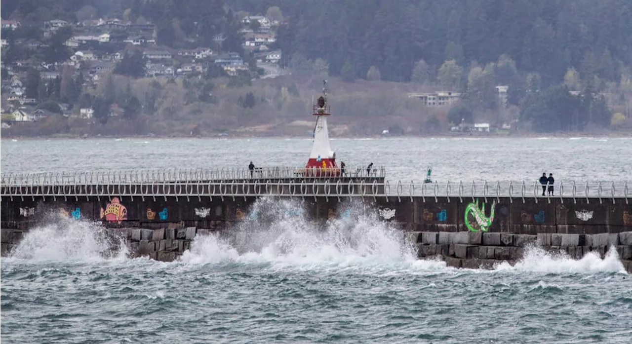 Thousands without power, some B.C. Ferries sailings cancelled due to wind