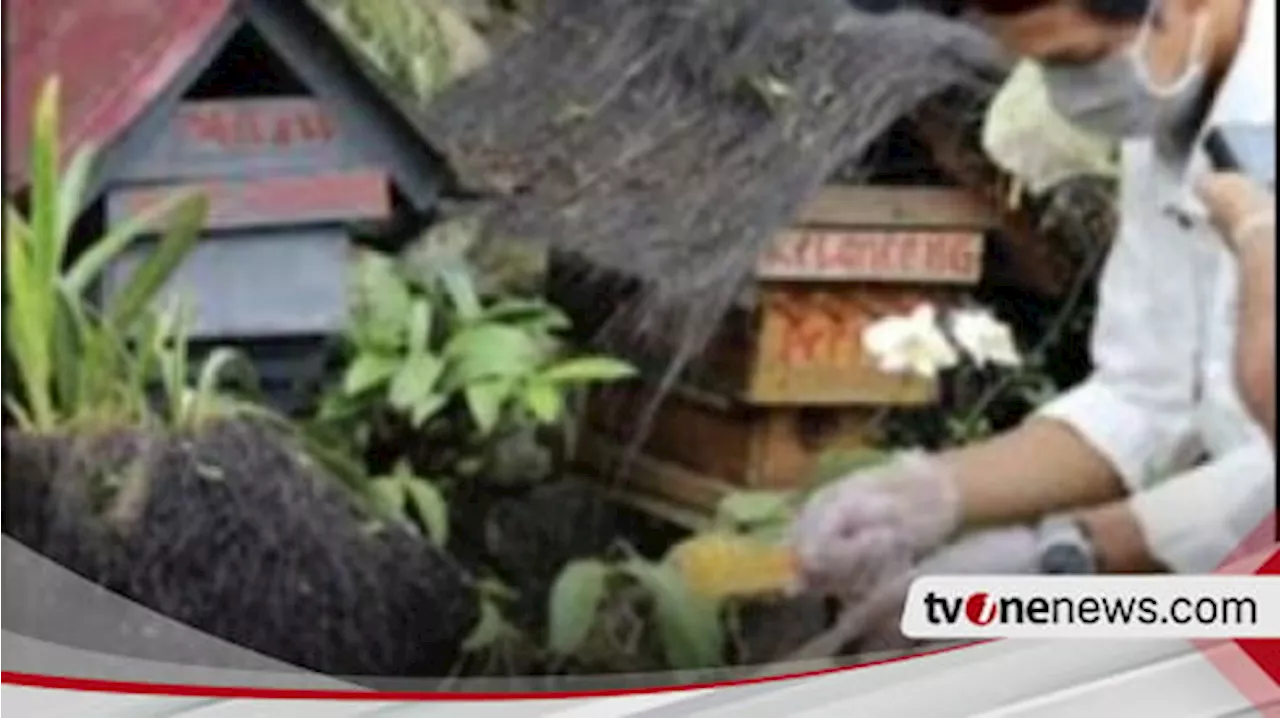 Kabar Baik untuk Petani Hutan, Produk Hasil Hutan Juga Bakal Masuk Menu Makan Bergizi Gratis Prabowo