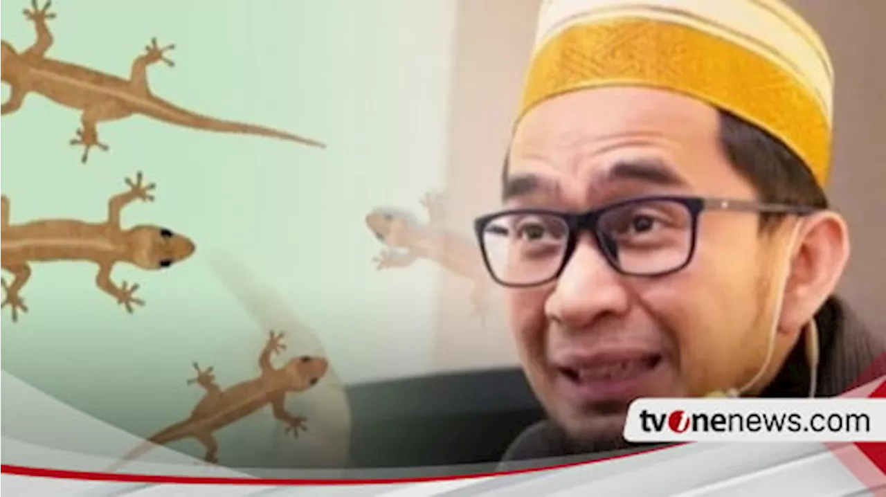 Waspada Jika Banyak Cicak di Rumah Anda, Kata Ustaz Adi Hidayat...