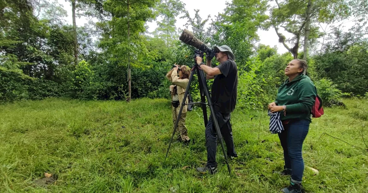 Primer Convite de Aves en Santander: un evento de conservación y cultura