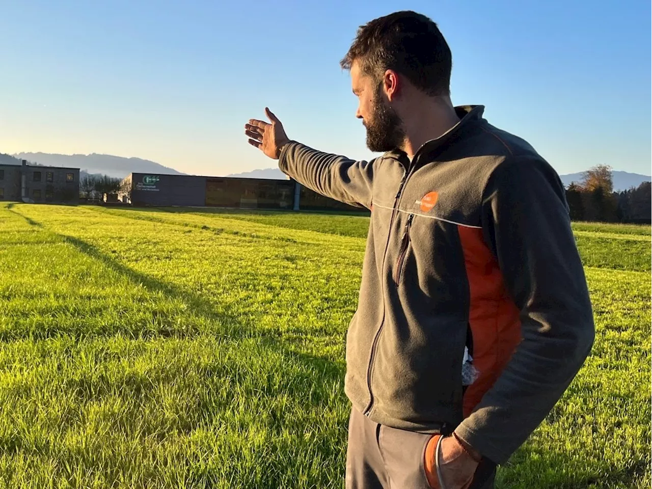 'Das Feld wurde komplett verunstaltet': Unbekannte zerstören Wiese von Landwirt Daniel in Lingenau