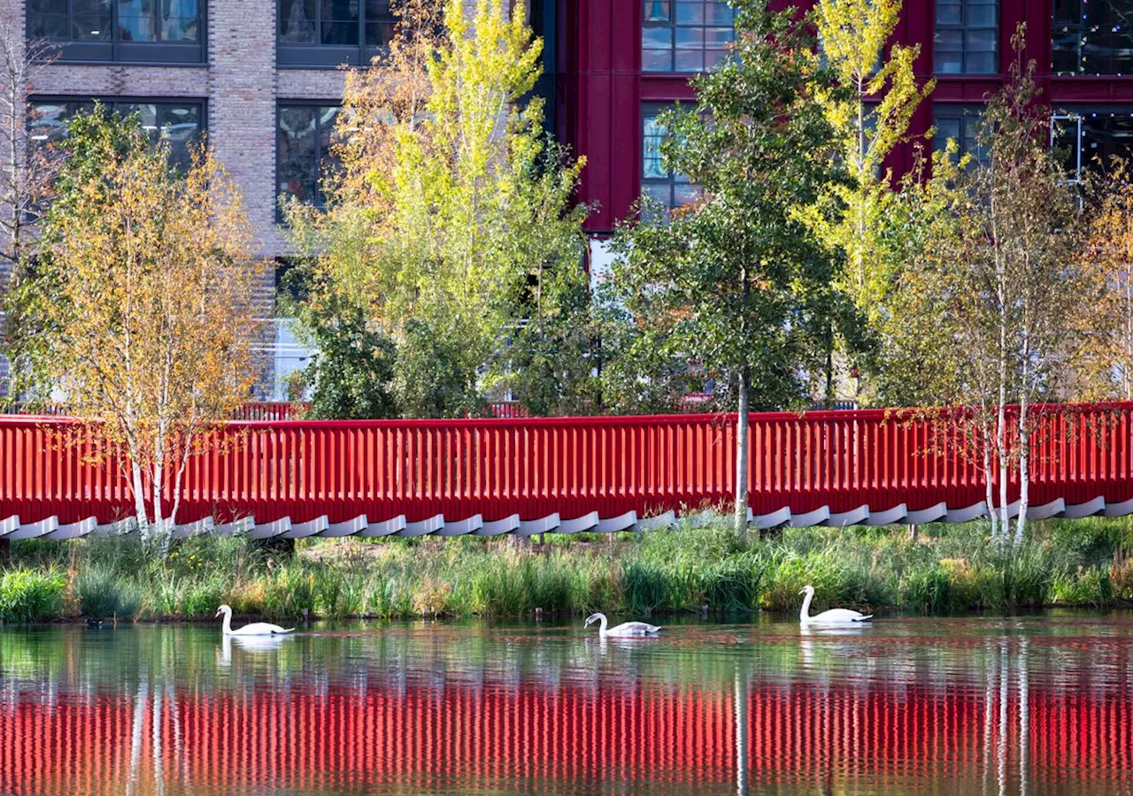 The new Canada Water boardwalk is an experience designed to ‘unfold slowly’