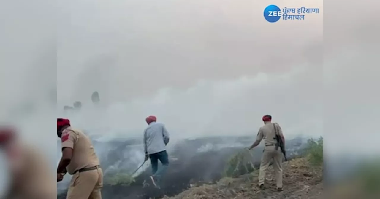 Ferozepur Stubble Burning Case: ਨਹੀਂ ਟਲਦੇ ਕਿਸਾਨ, ਸਾੜੀ ਜਾ ਰਹੇ ਹਨ ਪਰਾਲੀ, ਪੁਲਿਸ ਵਾਲਿਆਂ ਬੁਝਾਆ ਅੱਗ, ਹਰ ਪਾਸੇ ਧੂੰਆਂ