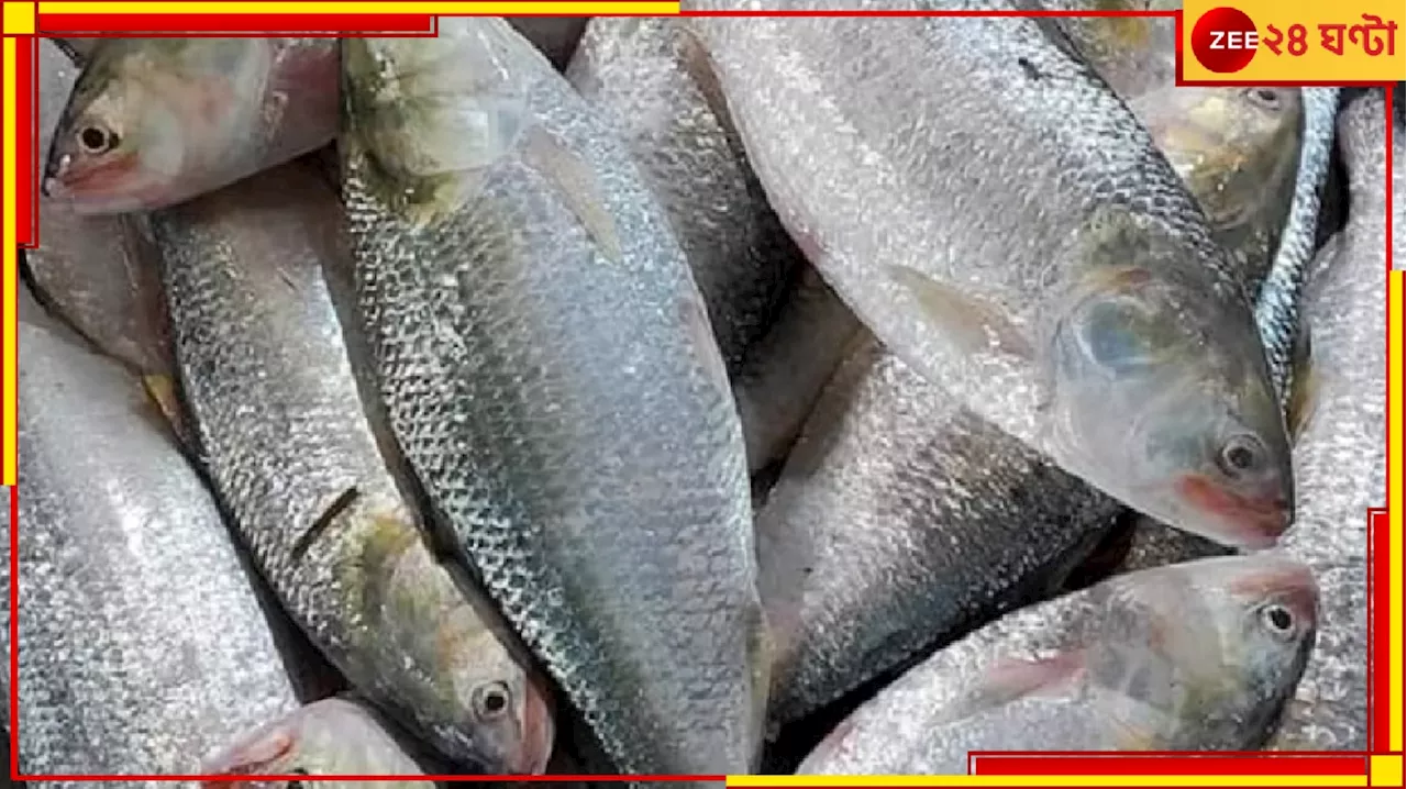 No Hilsa: হতাশ বাঙালি, দুশ্চিন্তায় মৎস্যজীবীরা! সমুদ্র থেকে ফিরছে খালি ট্রলার...