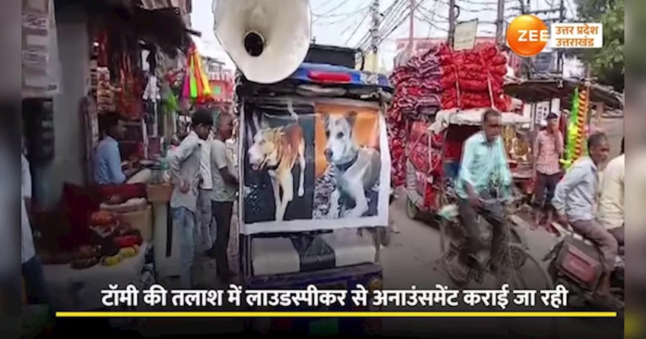 Sambhal Viral Video: शहर का सुपरस्टार टॉमी, साहब से नहीं सही गई जुदाई, ढूंढने वाले को 2000 रुपये का इनाम