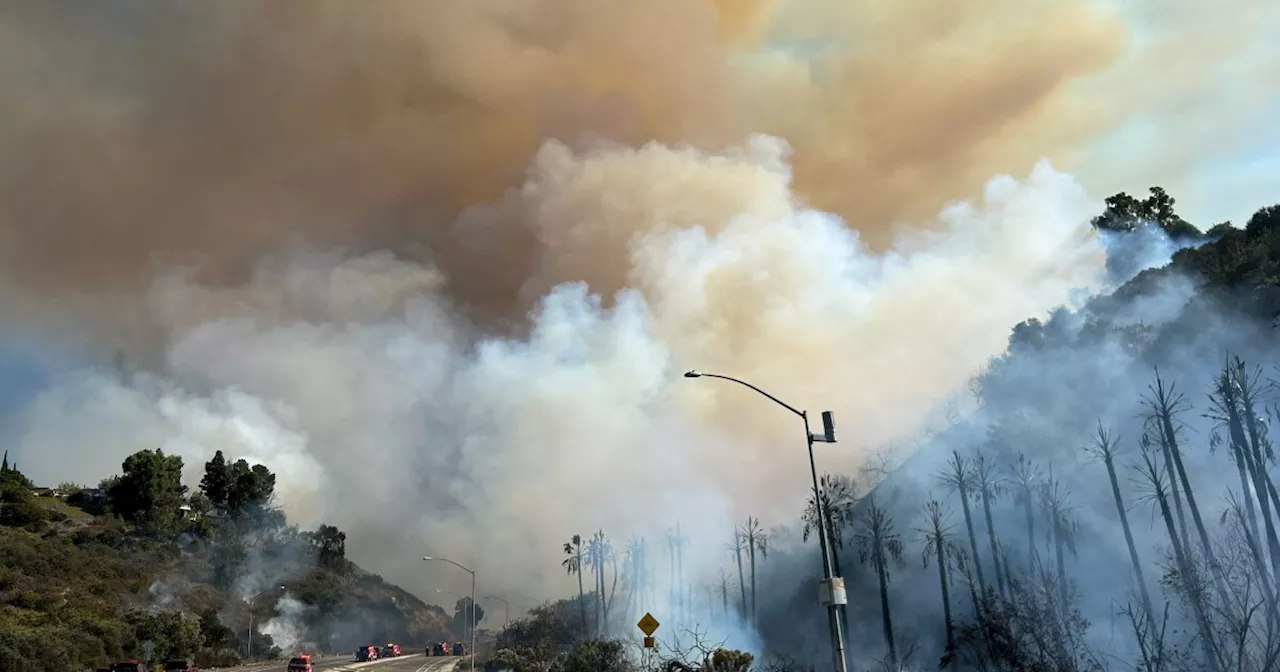 LIVE COVERAGE: San Diego Fire-Rescue responds to fast-moving fire in College Area