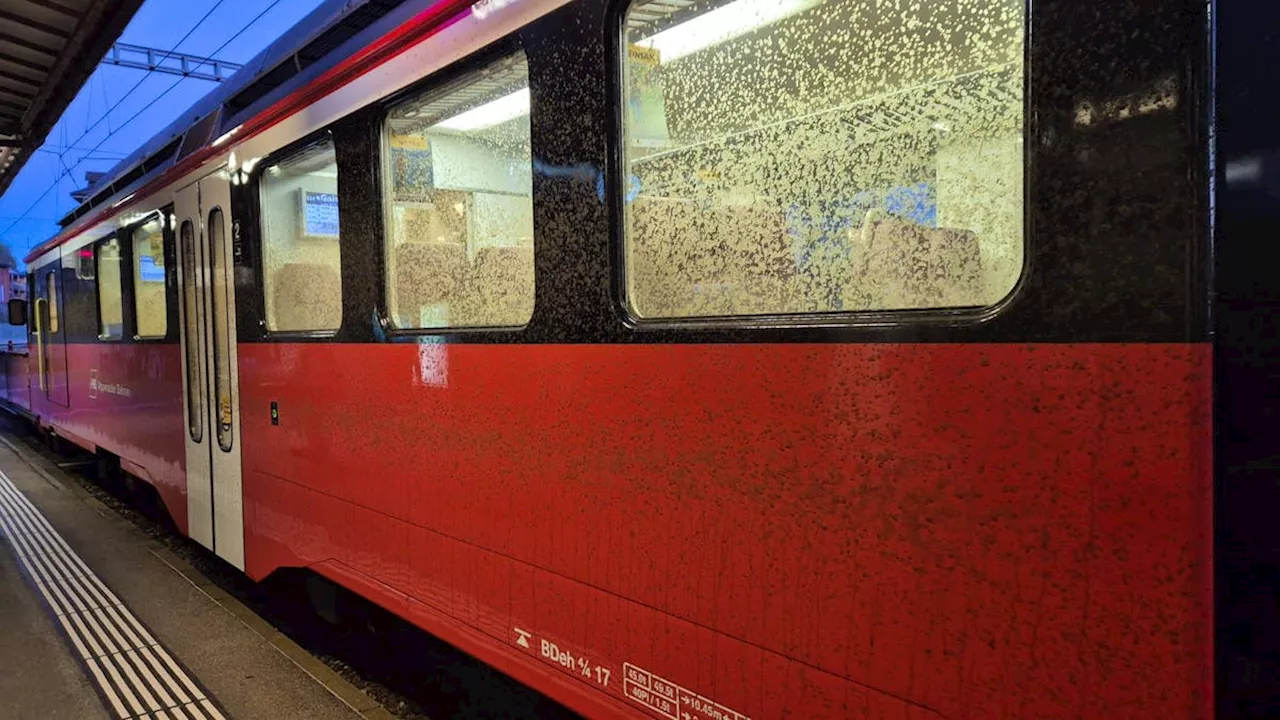 Zugfahrt mit Gülle an den Händen – «echt grusig»