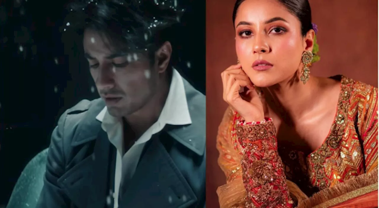 Shahnaz Gill applauds Ali Zafar’s newly released song 'Fade'