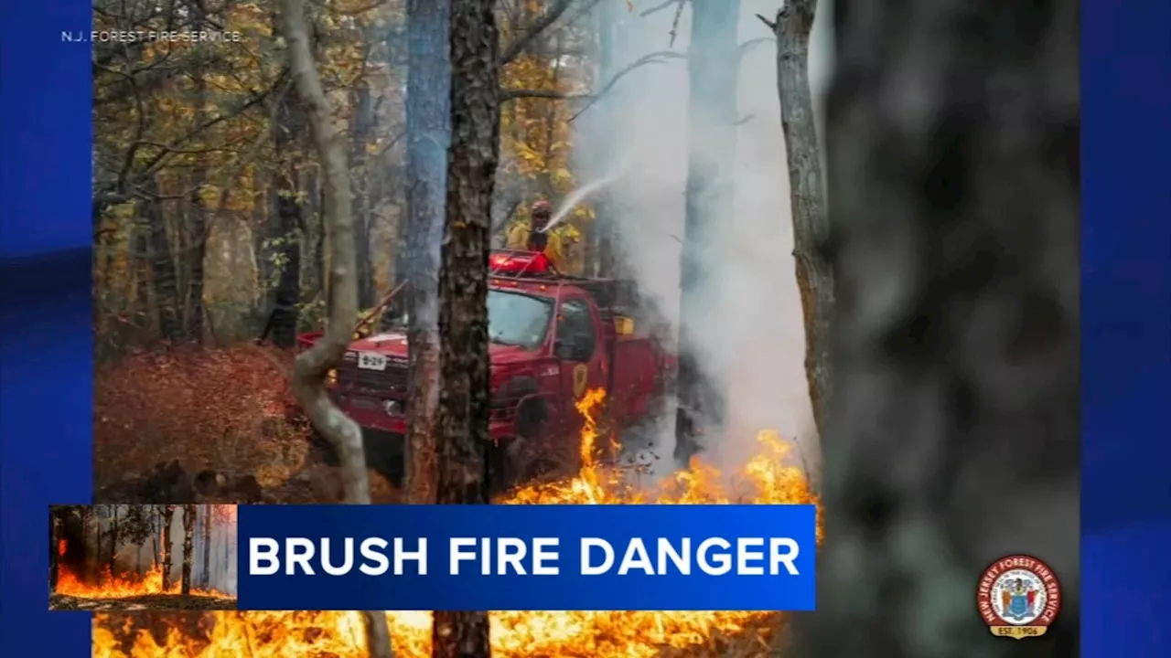 40-acre wildfire burning near Evesham Twp., New Jersey neighborhood 90% contained